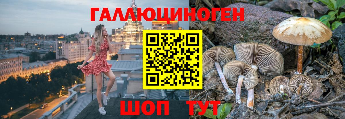 цена   Галлюциногенные грибы прущие грибы  Вход с VPN  Галлюциногенные грибы Cubensis  Алатырь 