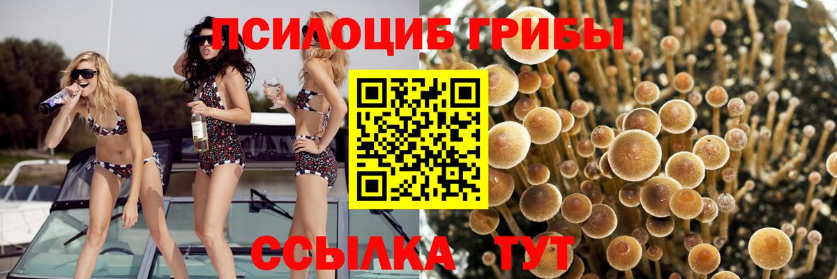 Галлюциногенные грибы MAGIC MUSHROOMS Алатырь